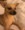 My dog Snoopy.