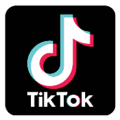 TikTok API product card