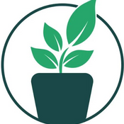 House Plants product card