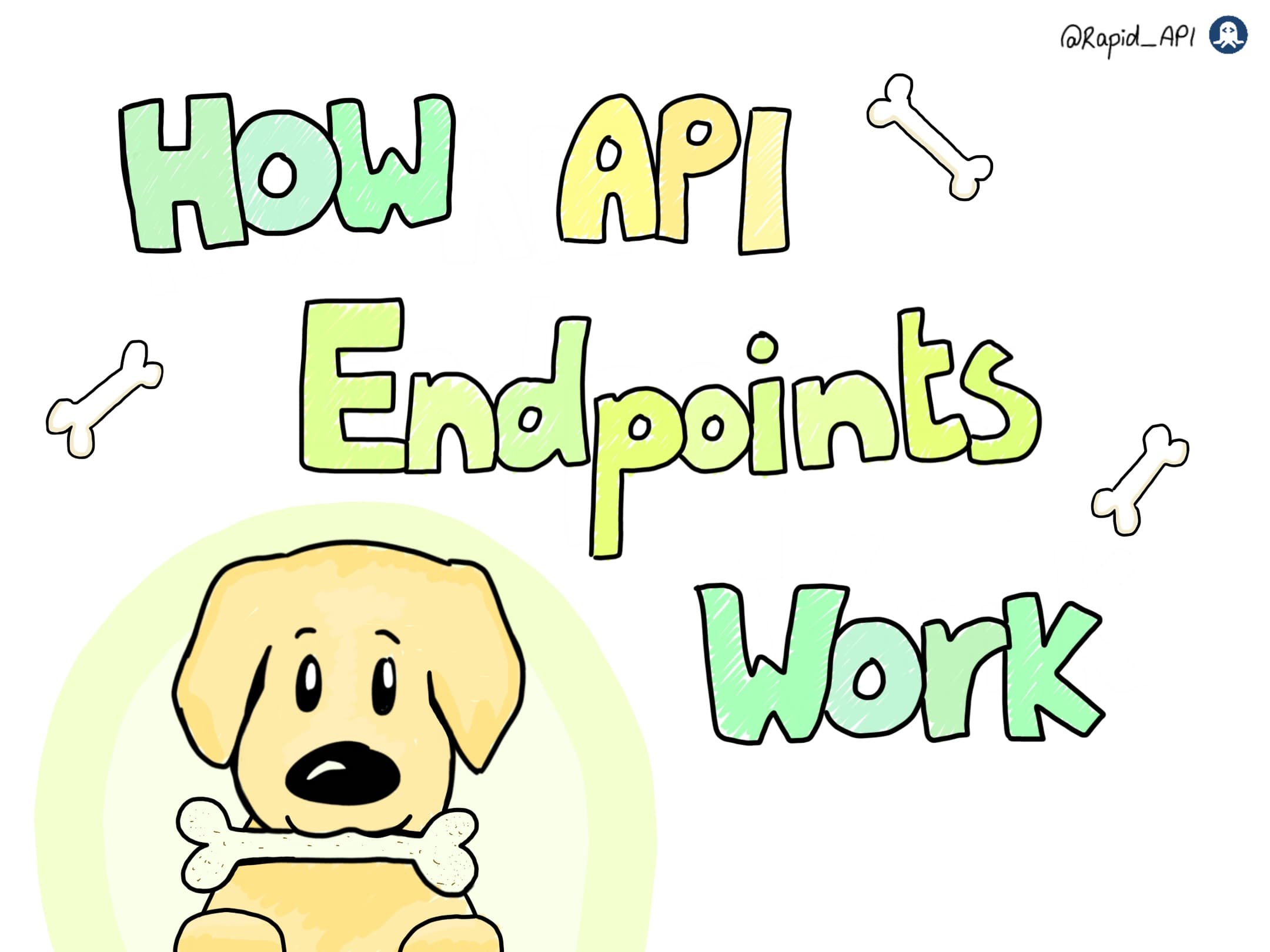 How API Endpoints Work?