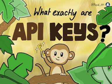 What are API Keys?