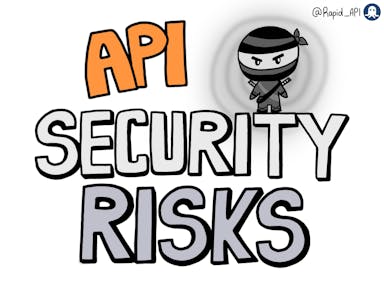 API Security Risks