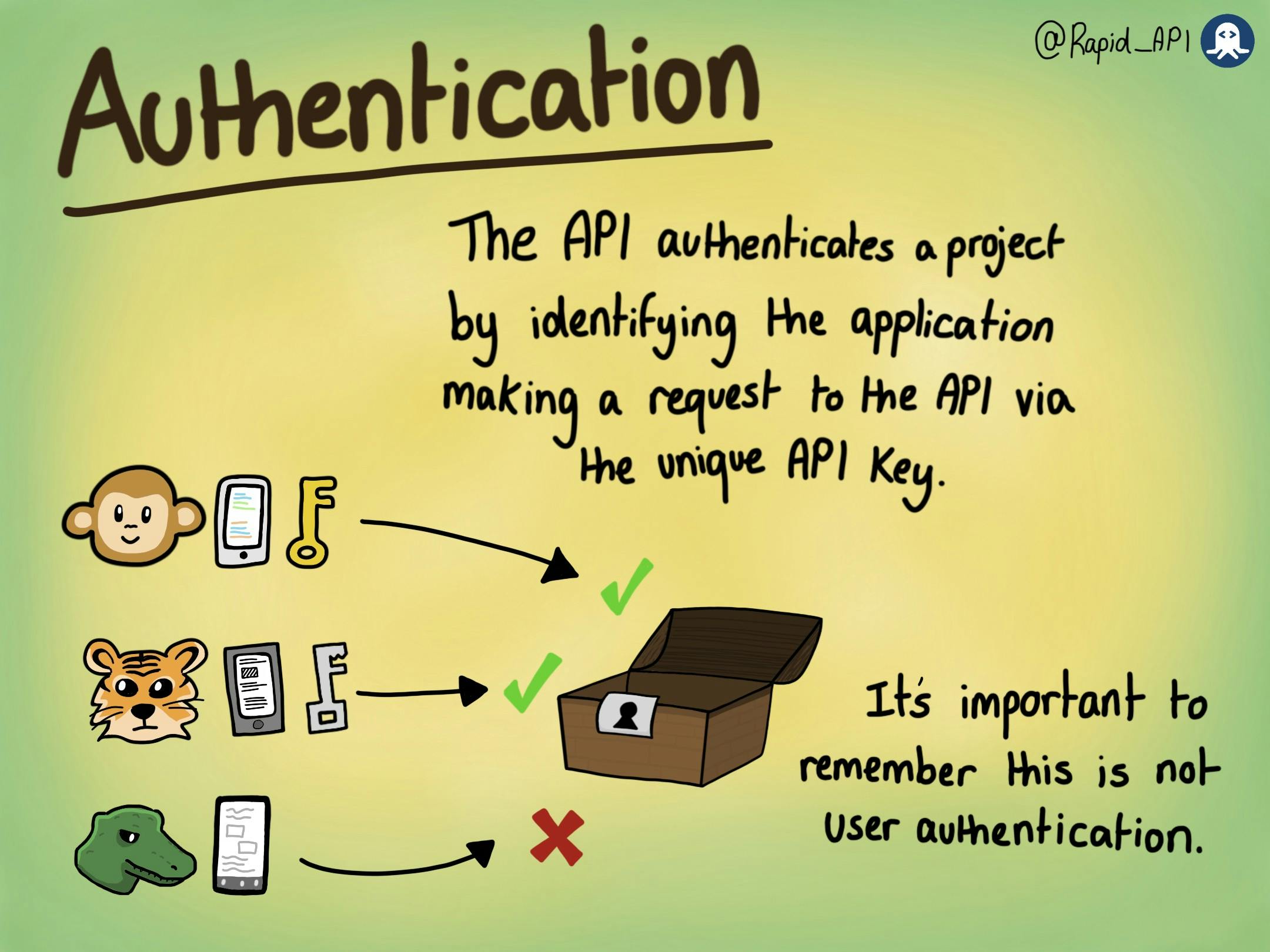 What are API Keys?