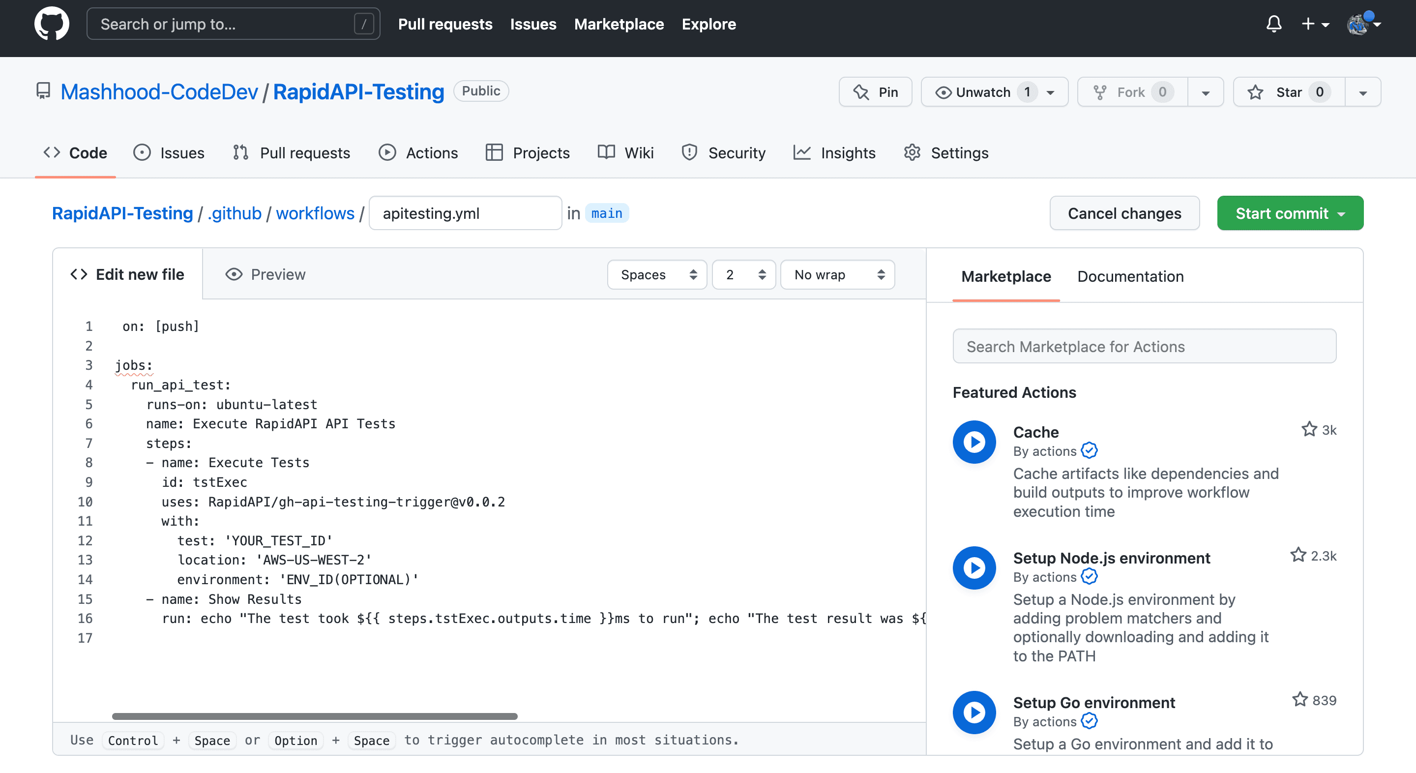 Inputting Code into yml File