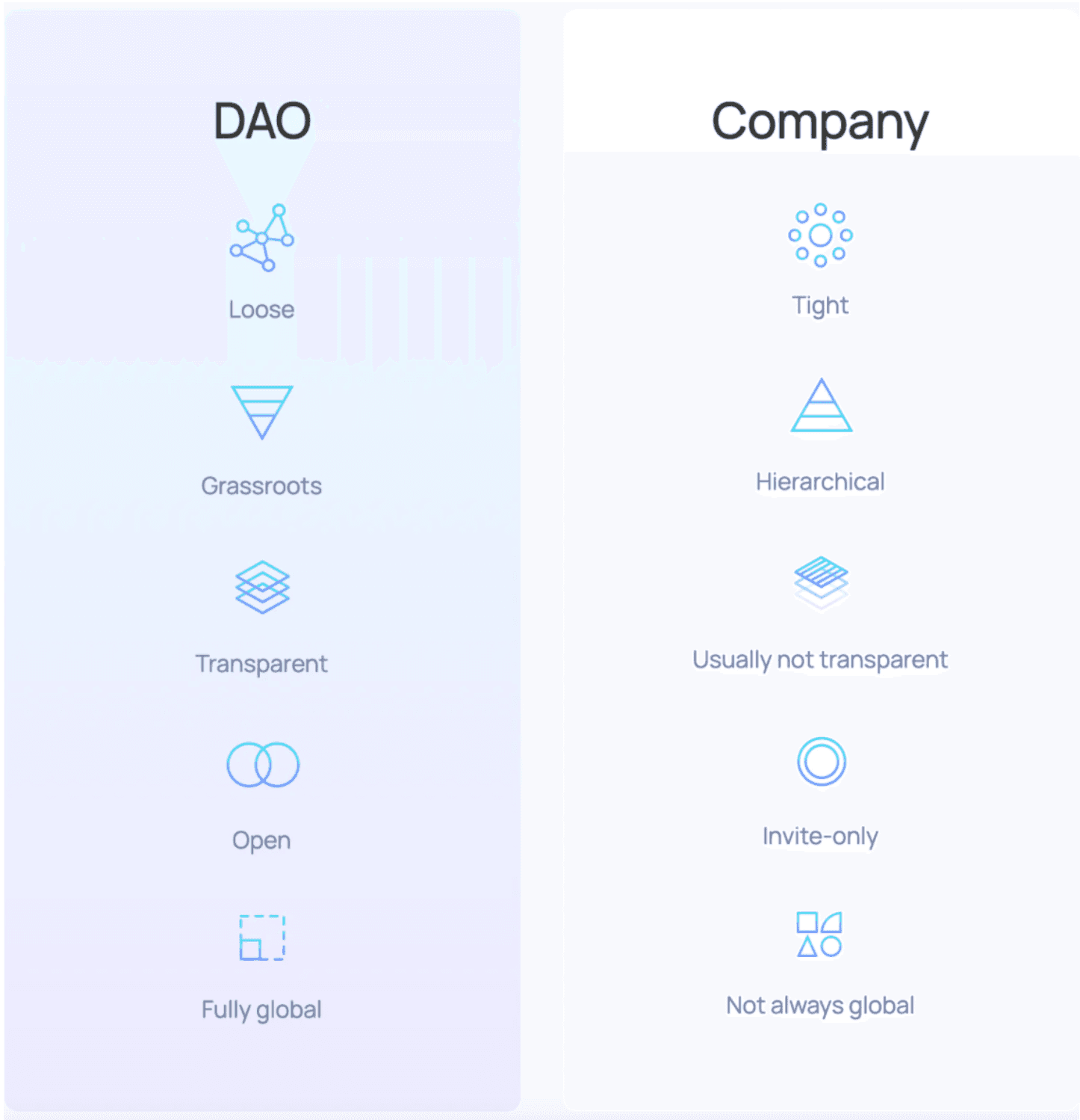 DAO vs Company