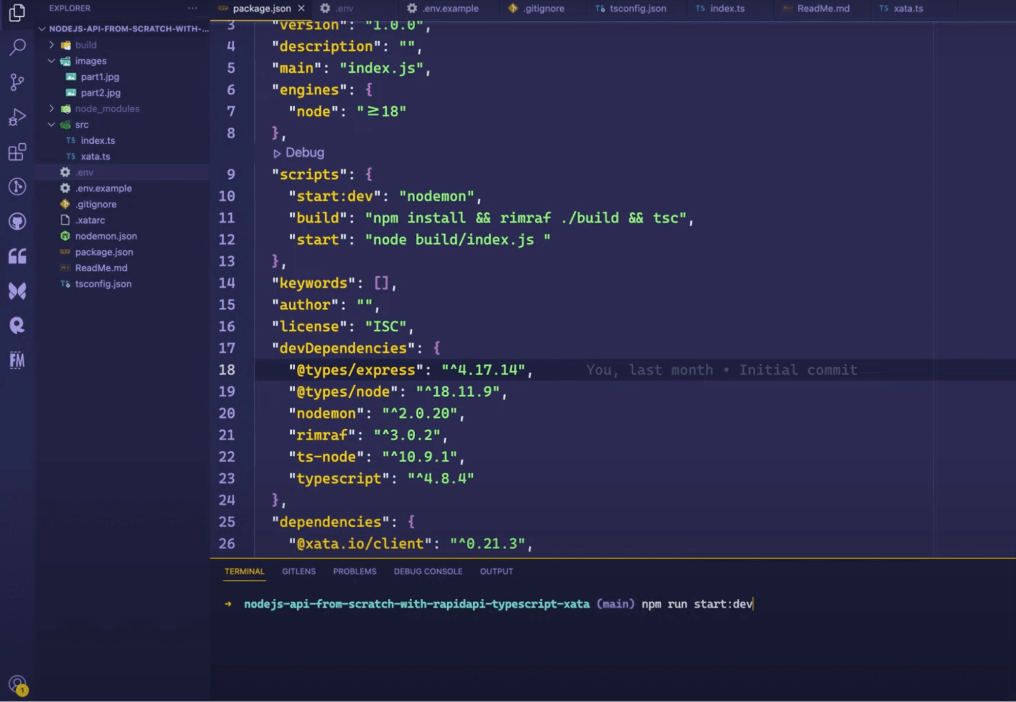 Running the API