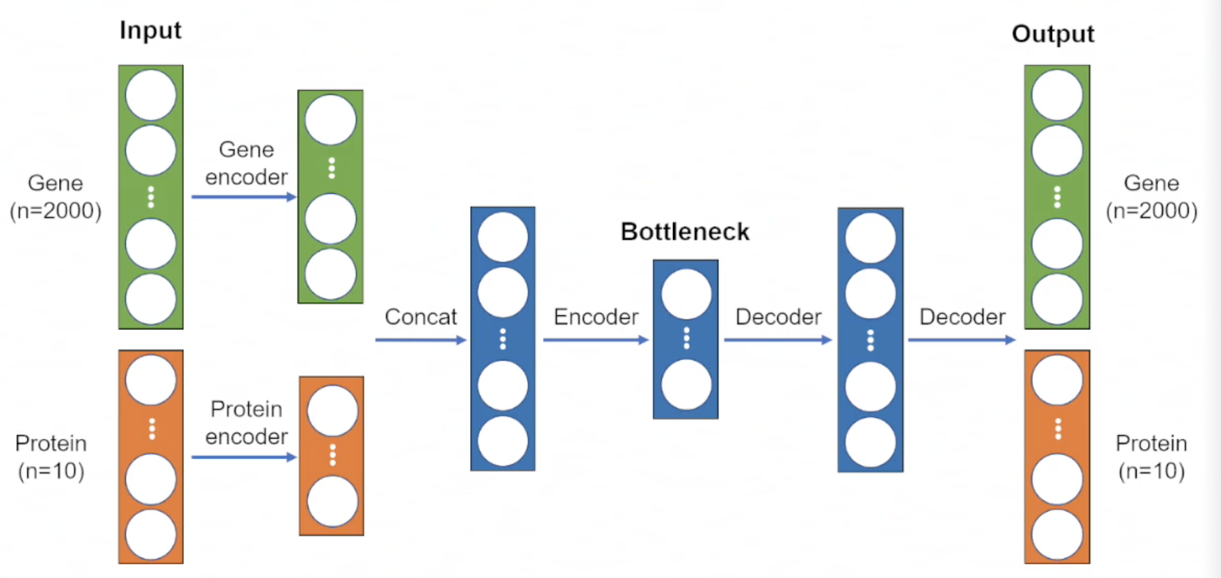 Encoding and Decoding Process