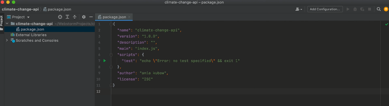 package.json file