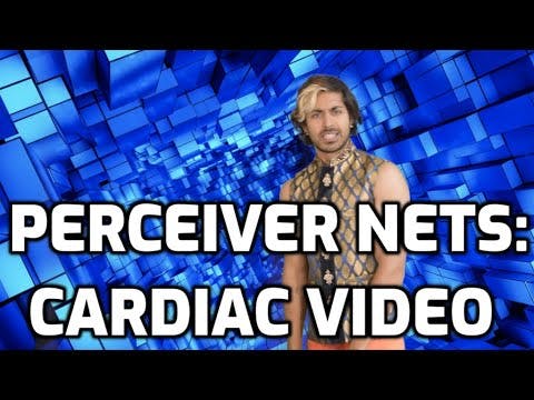Perceiver for Cardiac Video Data Classification (AlphaCare: Episode 2)