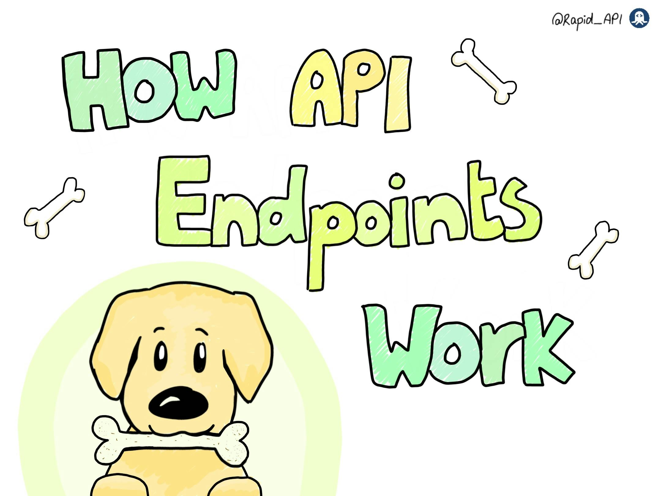 How API Endpoints Work?