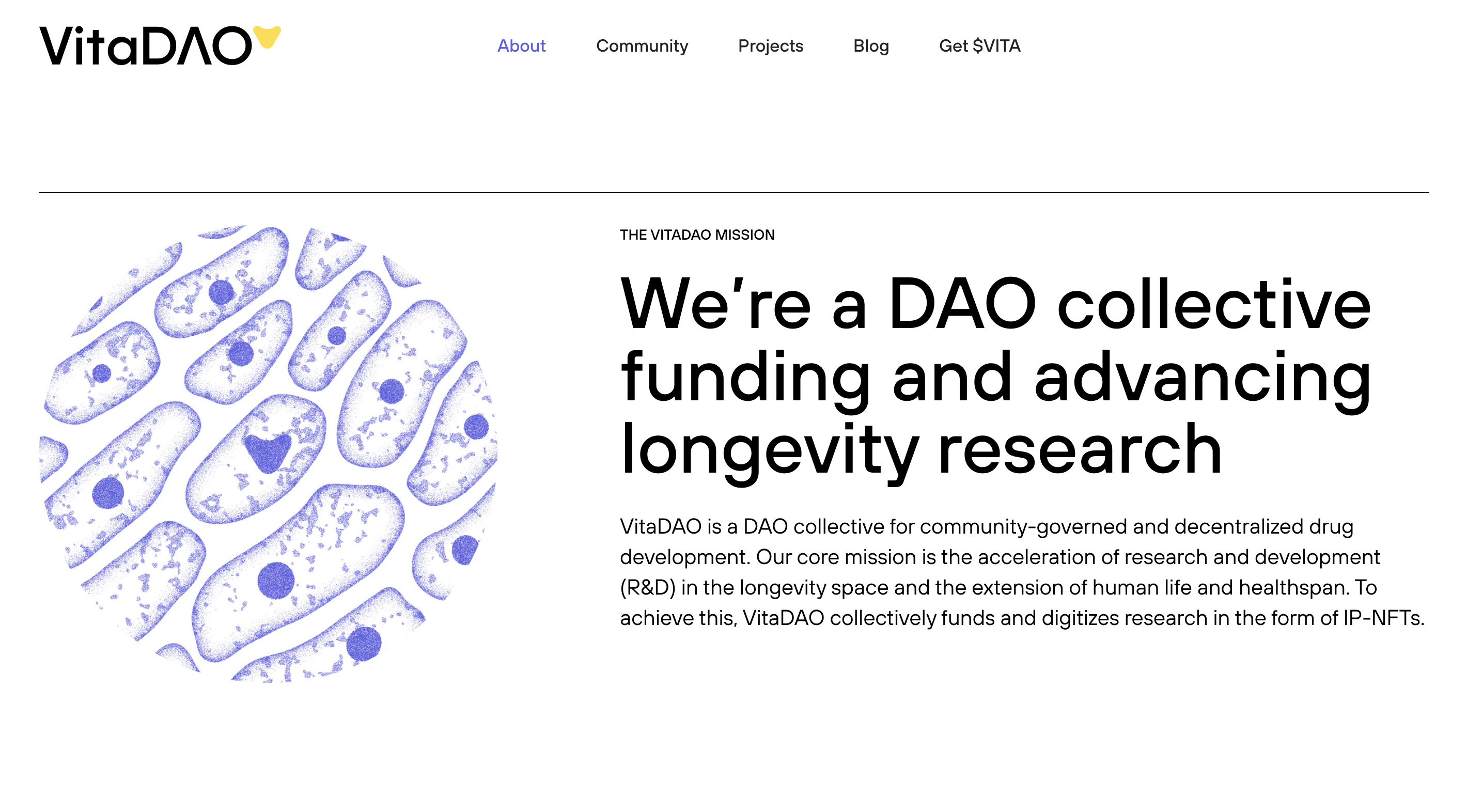 VitaDAO - decentralized collective funding