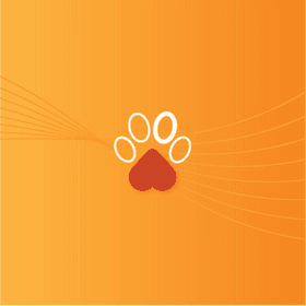 Hero Image Dog APIs
