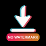 Tiktok Downloader No Watermark - mp3