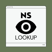 NS Record Lookup thumbnail