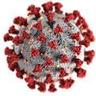 Coronavirus Symptoms Predictor