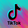TikTok No Watermark Video