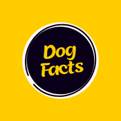 Random Dog Facts thumbnail