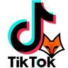 TikTok_Solutions