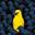 Twitter API  icon