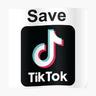TikTok Video Downloader
