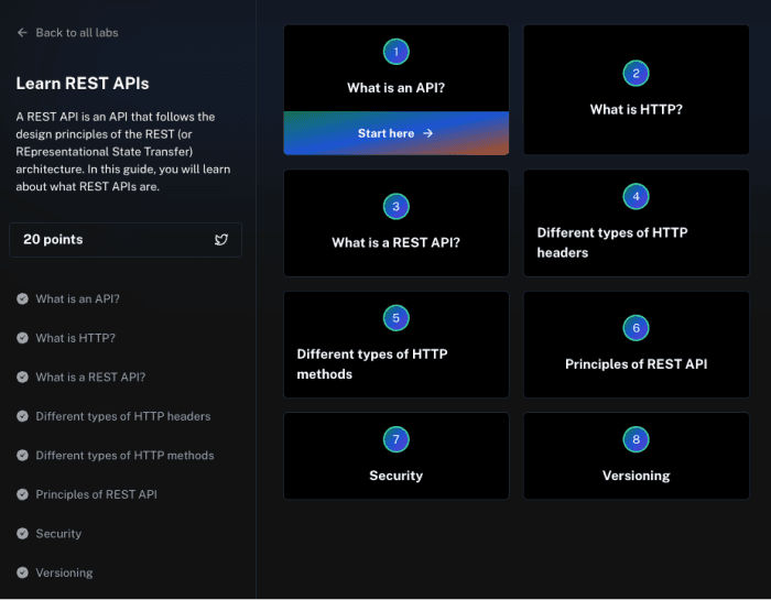 Learn REST APIs