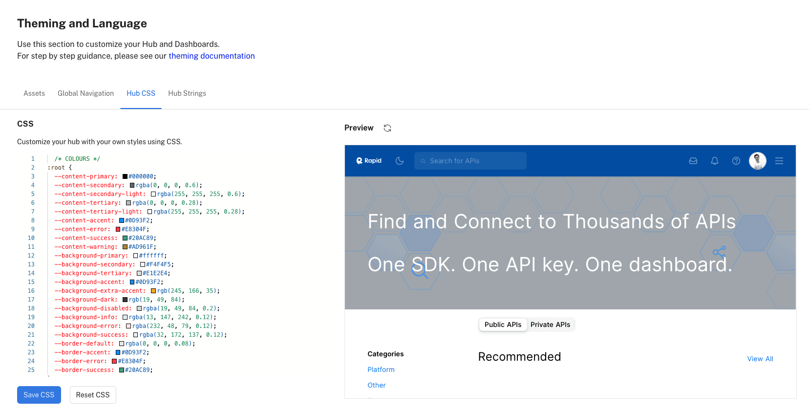 Preview of the customized Rapid's API Hub for Business